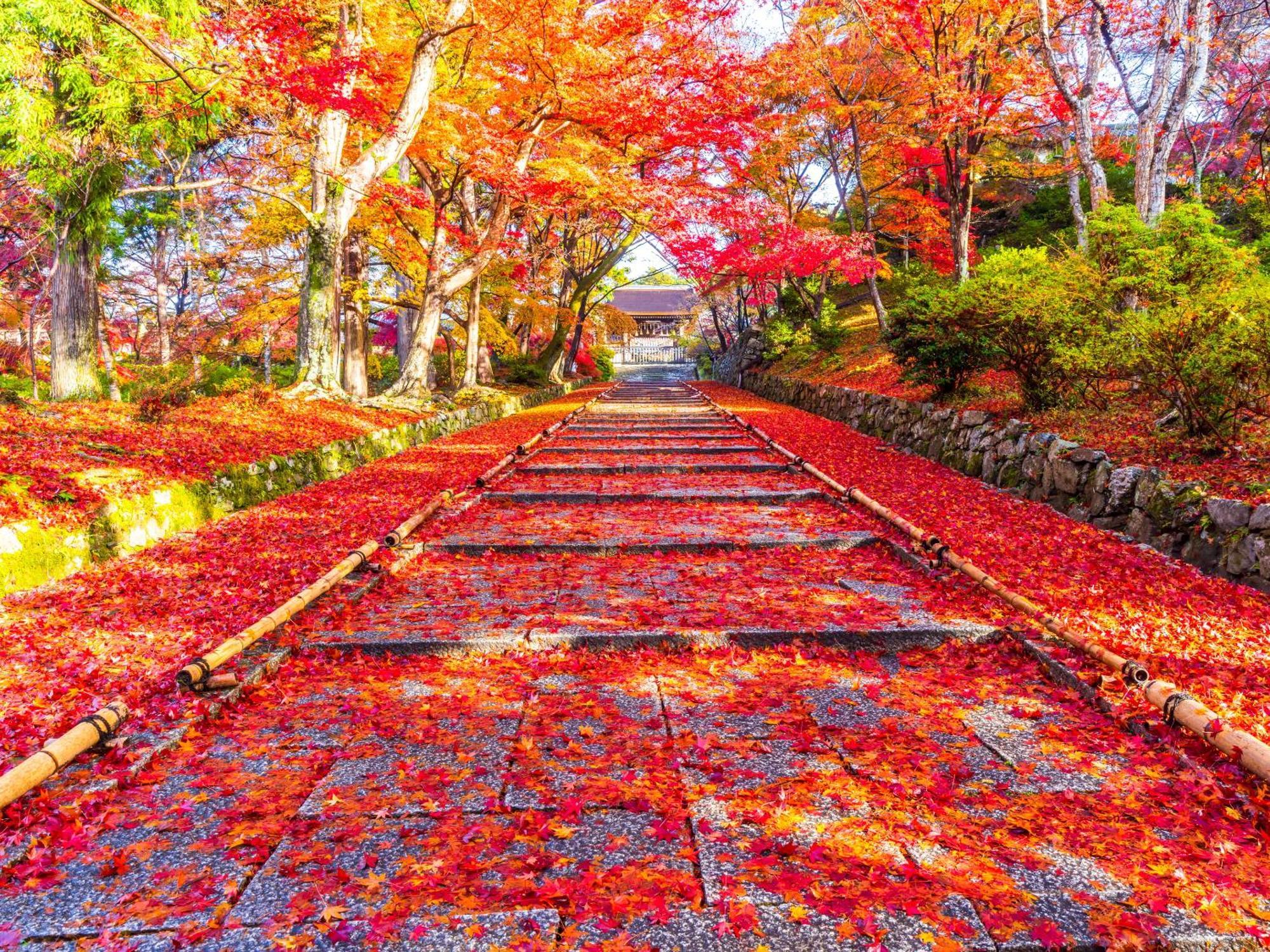 The Machiya Ebisuya Otel Kyoto Dış mekan fotoğraf